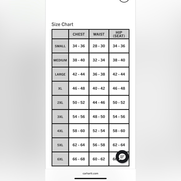 Carhartt Blue Puffer Jacket with Hood and Quilted Design - Picture 7 of 7